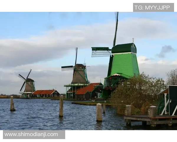 卢森堡足球明星的崛起与成就：小国大梦的运动传奇