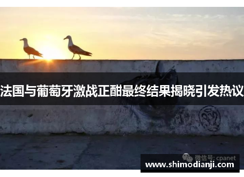 法国与葡萄牙激战正酣最终结果揭晓引发热议